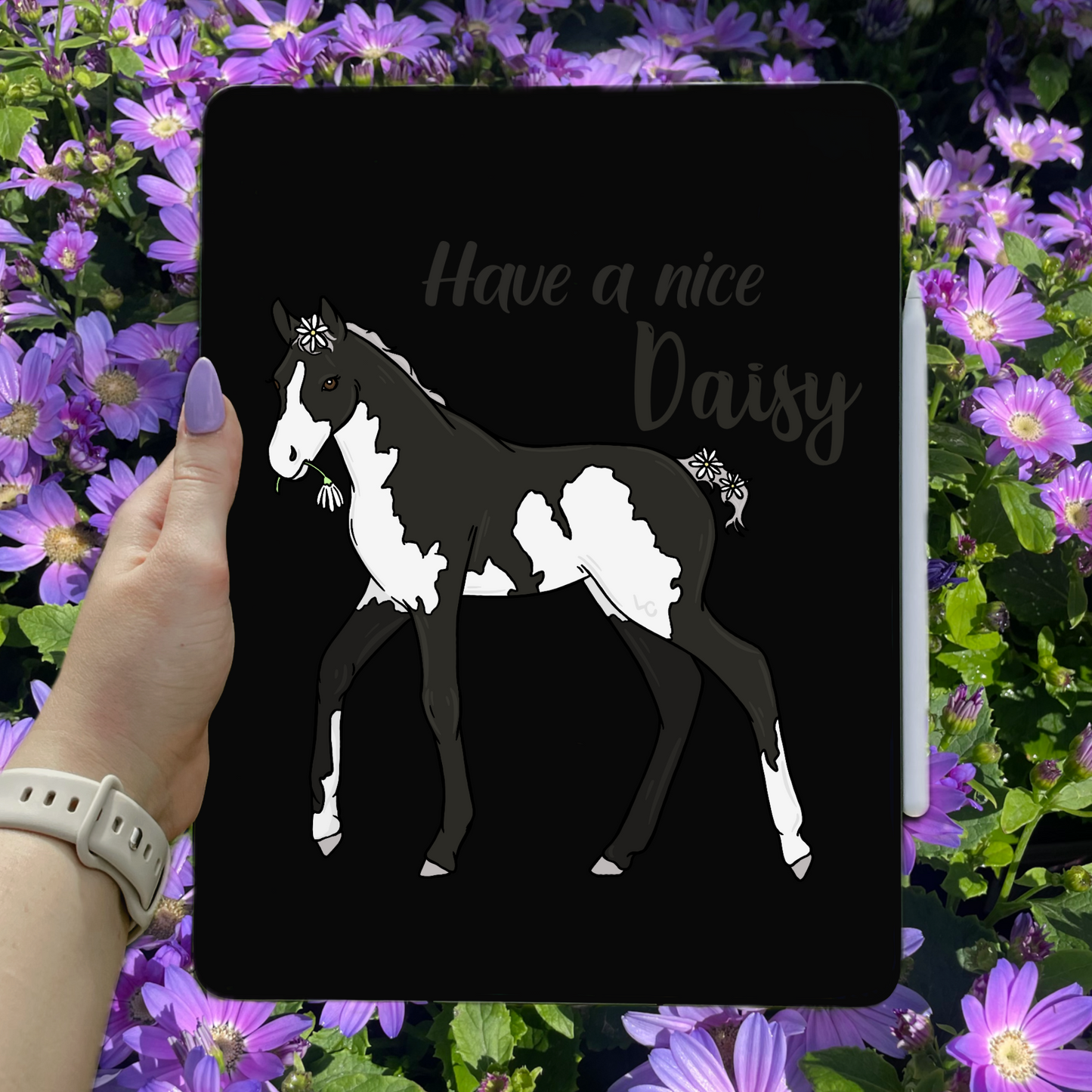 Have a nice daisy - PNG File