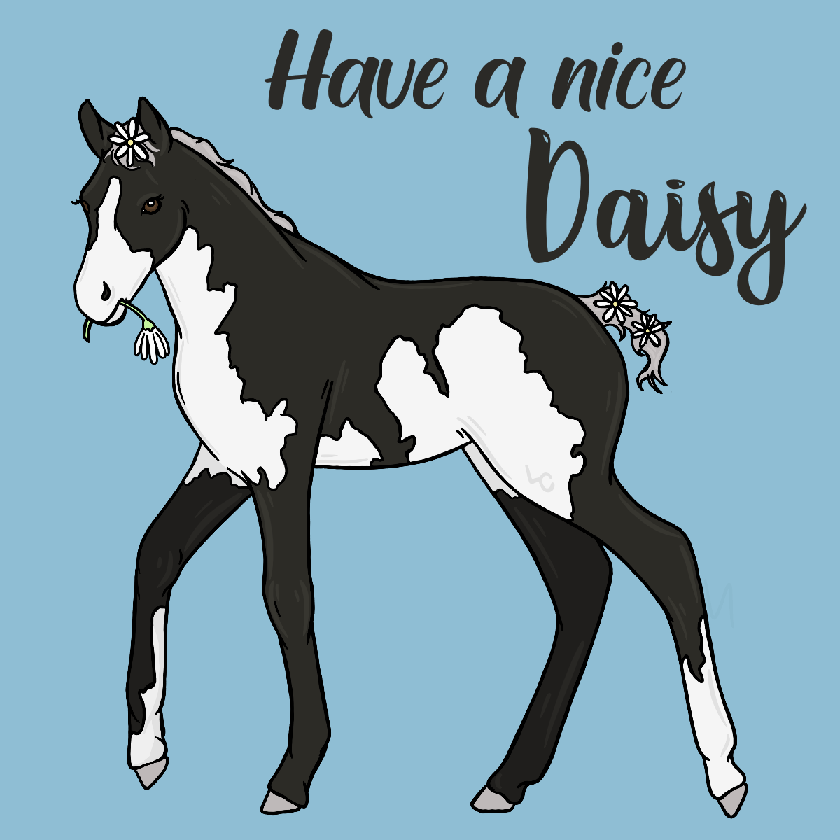 Have a nice daisy - PNG File
