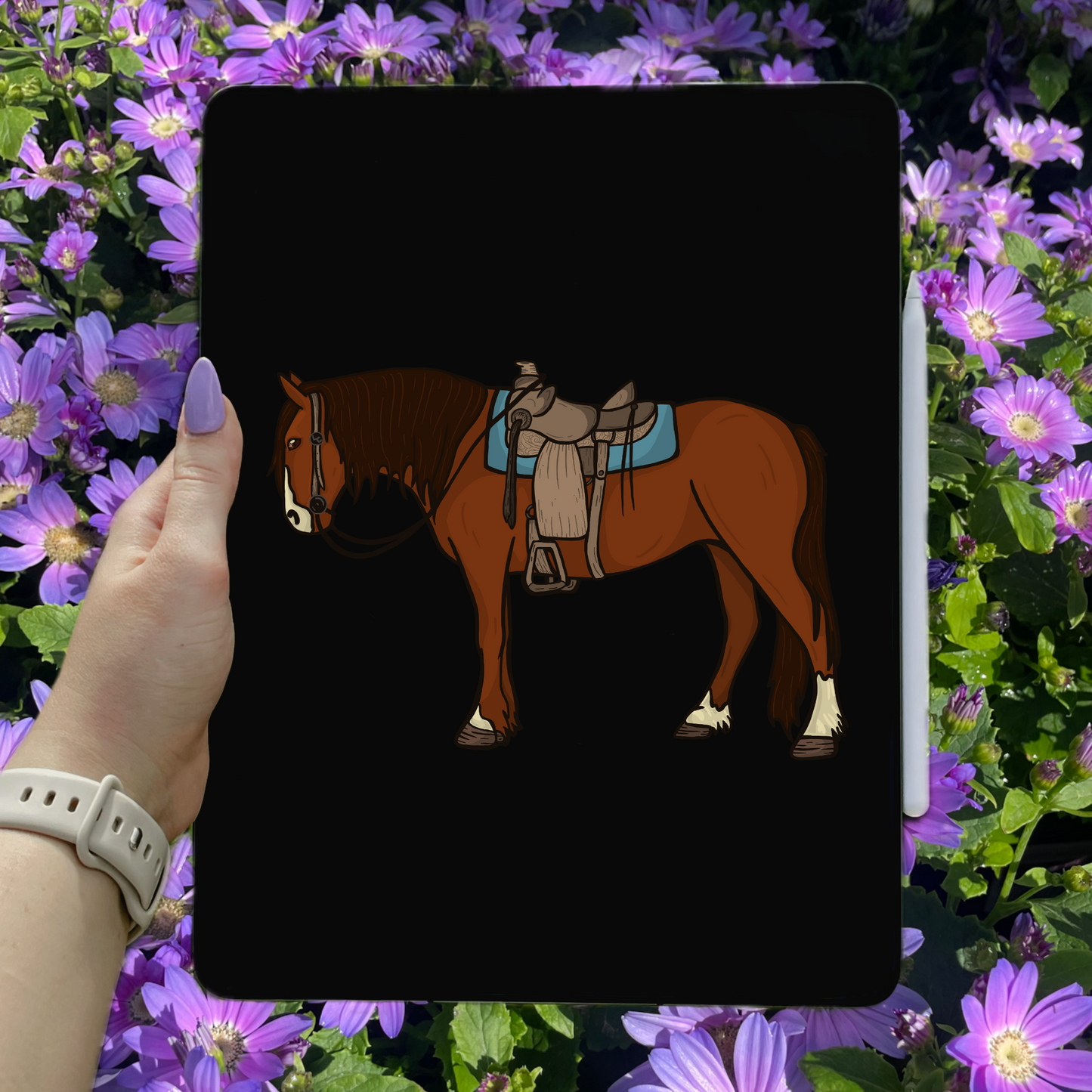 Saddled Horse PNG File