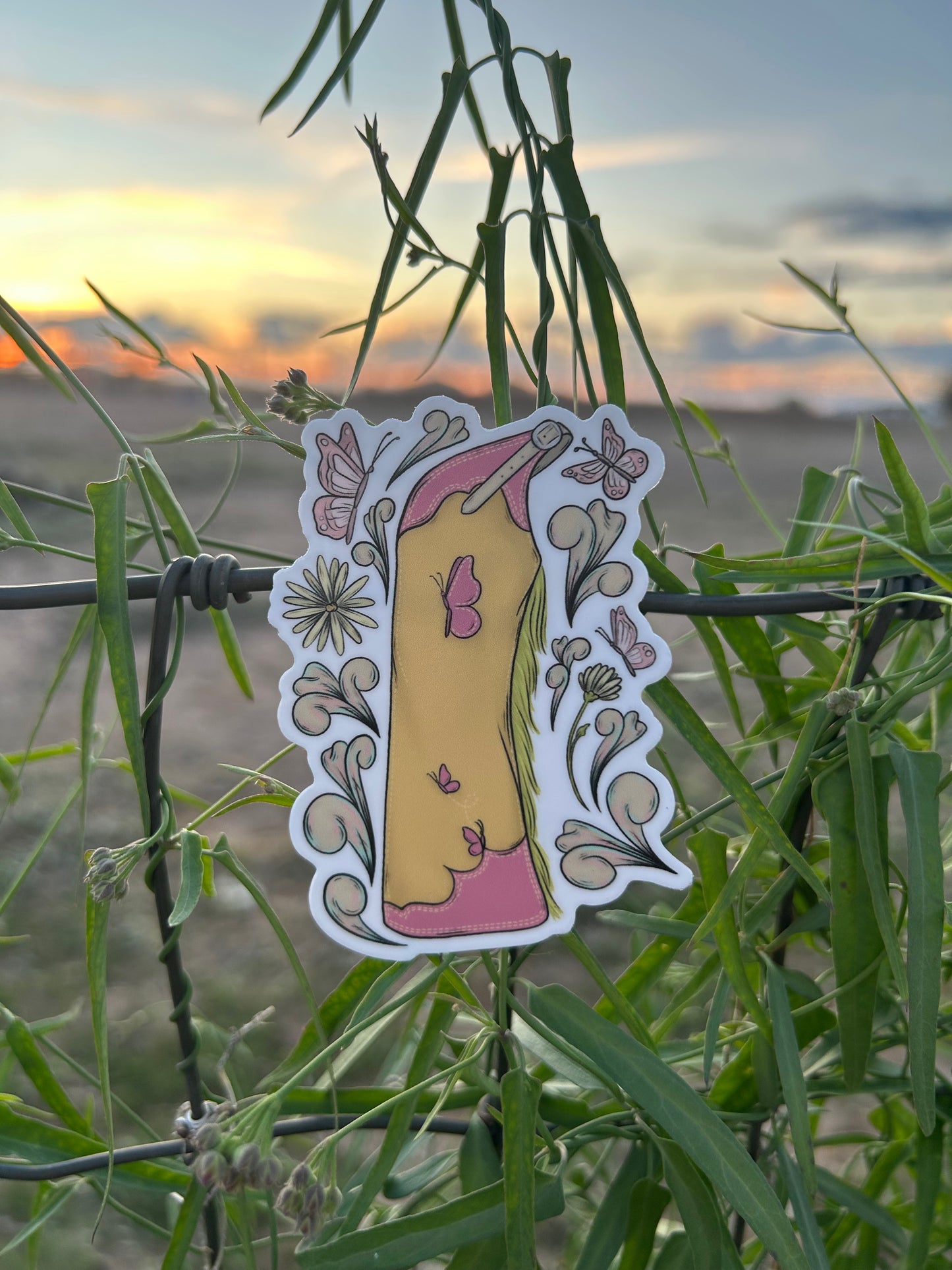 Colorful Cowgirl Chaps