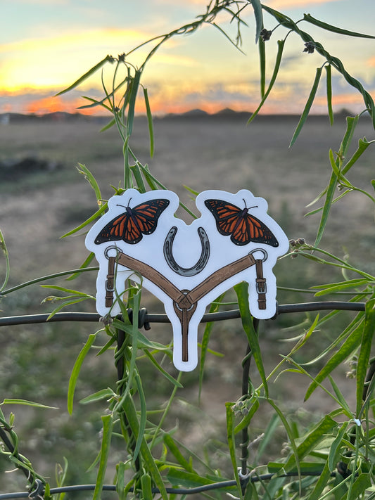 Perfect Cowgal Combo